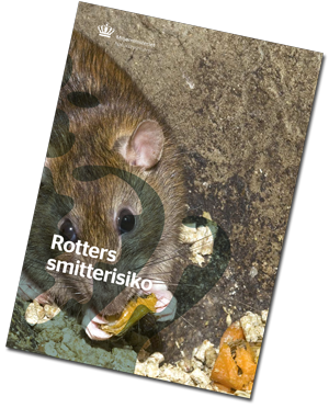 Bog om rotters smitterisiko